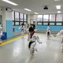 태아일체 라온태권도장 이미지