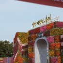 김제 지평선 축제 이미지