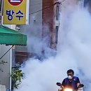 괴정1동-2 이미지