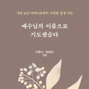 『예수님의 이름으로 기도했슴다』 - 이한나, 장태산 - 이미지