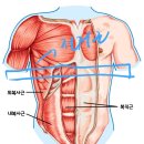 백스윙 ㅡ 인앤업이 아닌 진짜 백스윙하기 이미지