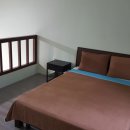 바로올레 이미지