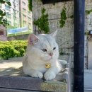 부대앞 스크린 이미지