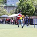 화성이삭 이미지