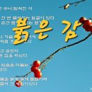 수니 라이브
