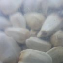 홍화약국 이미지