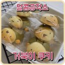 5.21 쿠키만들기 원데이클래스 | [달콤공작소] 알콩달콩 거북이 쿠키 만들기 - 원데이클래스 후기