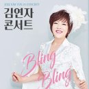 김연자 콘서트 이미지