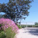 다솔마루 이미지