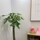 서울유펜치과의원 이미지