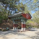 공주 4월 가볼만한곳 유네스코 세계문화유산 마곡사