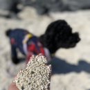 서빈다방 이미지