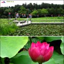 미향반찬 이미지
