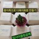 나도야 강사 이미지