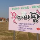 다비농장 이미지