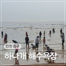 너른바다횟집 | 수도권 당일치기 바다 여행 추천지 인천 무의도 하나개해수욕장