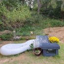 세자트라(방문자센터) 이미지