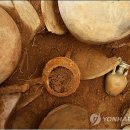 남원 월산리 고분군 이미지