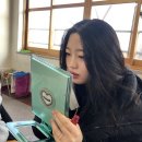 일상핑