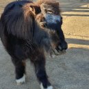 대공원역 1번 출구 뒤 이미지