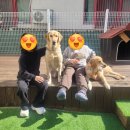 프로네앞마당 이미지