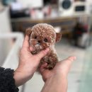 성복1로281번길 이미지