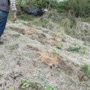 도연농원 이미지