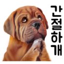 월드크리닝홈플러스 네이버블로그