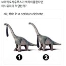 터틀넥 이미지