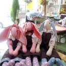 계화중학교 이미지