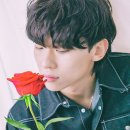 덱스 이미지