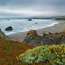 행복그자리 이미지