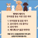 충남카세차장 네이버블로그