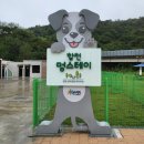 쌍백농장 | 반려견들의 천국 합천 멍스테이