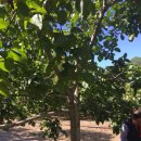 정모농장 이미지