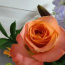 [남부] 다이어트댄스 이미지