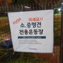 포레스트독 이미지