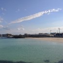 세화해변 네이버블로그
