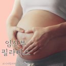 필라테스(근력운동/야간) 이미지
