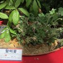 고삼농장 이미지