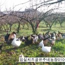 은주농장 이미지