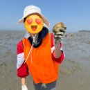 하나개해수욕장 -방갈로 뒤 | 🐚 휴일에 아이랑 뭐하지? 무의도 하나개해수욕장 갯벌체험 후기 (포내 갯벌체험장)