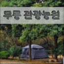 청산관광농원 캠핑장 | 경주 무릉 관광농원 캠핑장 A6 2박 후기 및 다른 사이트 정보