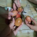 황실사우나 이미지