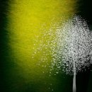 생명의소리Ⅰ | 사월의 아침, 생명의 빛깔처럼 다가오는 치유와 쉼의 공간 – 대부도 세빌라 풀빌라]