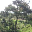 금마3농장 이미지