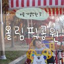 둔배미공원 페달로옆 | 서울 올림픽공원 자전거 대여 위치 나홀로나무 산책