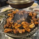 멍텅구리꼼장어 이미지