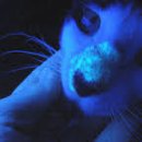 왕십리동물병원 이미지