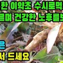 달맞이꽃(월견초, 월하향, 대소초)―이 약초를 꾸준히 복용하면 몸이 따듯해지며 질병에서 벗어난다 조회수 9.6만회 3년 전 이미지